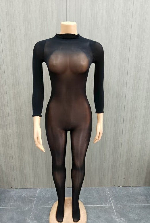 Sheer Jumpsuit