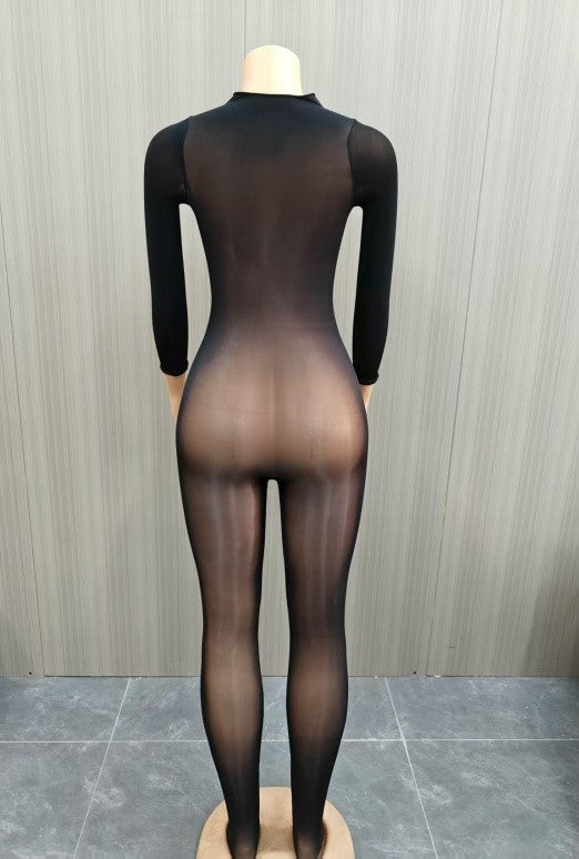Sheer Jumpsuit